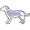 17_icon2_transparent